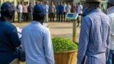 তেঁতুলিয়ায় কাঁচা চা পাতায় পানি মিশিয়ে ওজন বাড়ানোর দায়ে যুবককে ১৫ হাজার টাকা জরিমানা