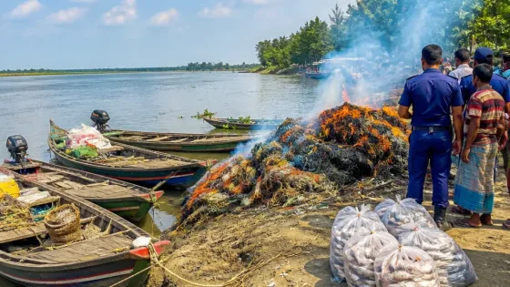 বরিশালে হিজলায় মা ইলিশ রক্ষায় অভিযানে ২০ আটক, বিপুল পরিমাণ জাল উদ্ধার