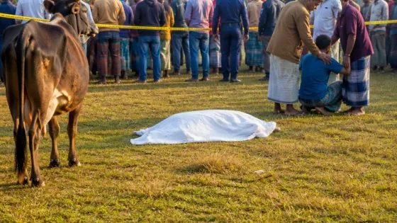 ঝিনাইদহের কালীগঞ্জে গরু চুরির সন্দেহে গণপিটুনি: অন্তত একজন নিহত, একজন হাসপাতালে