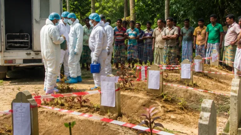 আদালত নির্দেশে চাঁদপুরে কবর থেকে উত্তোলন করা হবে সেলিম ও শান্তের মরদেহ