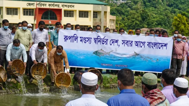 বান্দরবান: জলাশয় ও ছড়ায় মাছচাষে সম্ভাবনা—জাতীয় মৎস্য পক্ষ পালিত