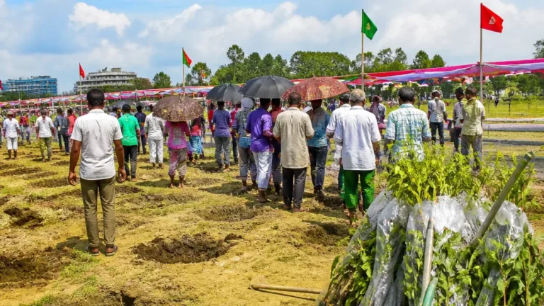 বিএনপির প্রতিষ্ঠাবার্ষিকীতে টাঙ্গাইলে বৃক্ষরোপণ ও চারা বিতরণ, টুকু প্রধান অতিথি