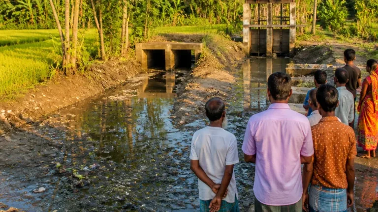দেড় যুগ ধরে খালের পচা পানি: পটুয়াখালীর ৯ গ্রামে পরিবেশ-স্বাস্থ্য সংকট