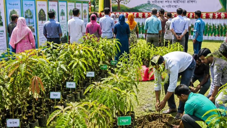 গাইবান্ধায় জেলা প্রশাসনের উদ্যোগে সপ্তাহব্যাপী বৃক্ষরোপণ অভিযান ও বৃক্ষমেলা শুরু