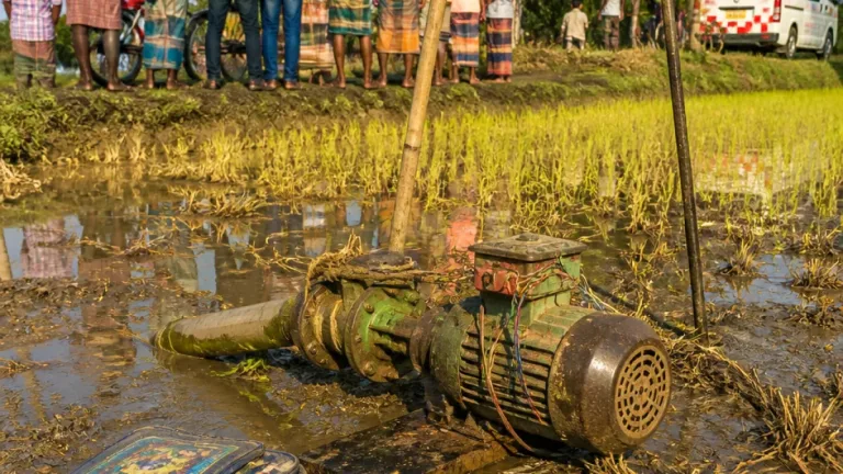 গোপালগঞ্জে জমিতে পাম্প চালাতে গিয়ে বিদ্যুৎস্পর্শে বাবা-ছেলের মৃত্যু