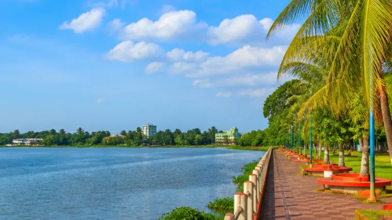 হোসেনপুরে মাদক অভিযোগে যুবককে গাছে বেঁধে মারধর, ভিডিও ভাইরাল—পুলিশ শনাক্তের চেষ্টা চালাচ্ছে