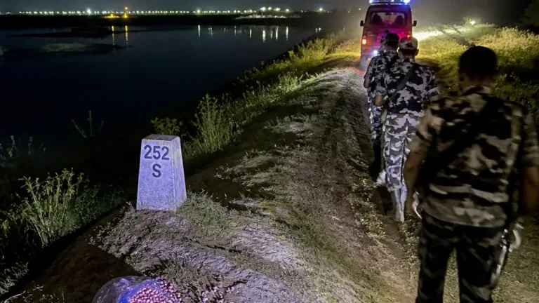জামালপুর সীমান্তে বিজিবি অভিযানে ১৩০ পিস ভারতীয় ইয়াবা জব্দ