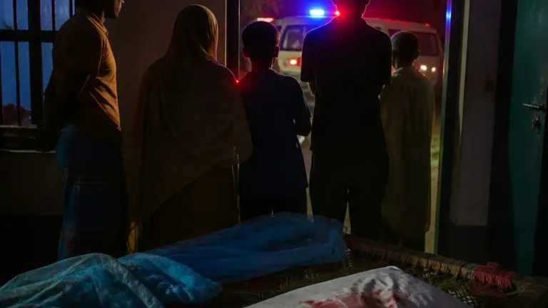 ঝিনাইদহে রাতের মধ্যে সাপের কামড়ে ১৭ বছরের কিশোরের মৃত্যু—চিকিৎসা পৌঁছানোর আগেই প্রাণহানি