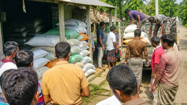 কালীগঞ্জে সার না পেয়ে ডিলার পয়েন্ট ঘিরে কৃষক প্রতিবাদ; অফিস থেকে বিতরণ শুরু