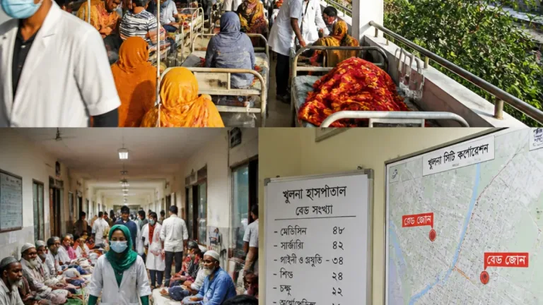 খুলনায় ডেঙ্গু বিস্ময়: দুই সপ্তাহে হাসপাতালে ভর্তি প্রায় সাতশো-আটশ রোগী, শয্যা সংকট