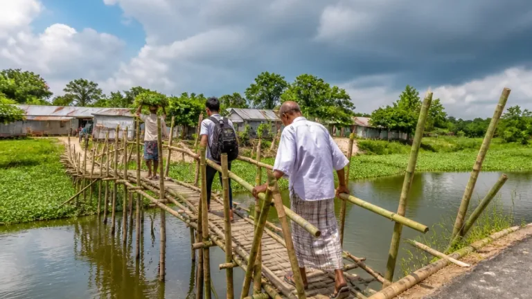 মাদারীপুরের ডাসার বহুগ্রামের জীবন বিপর্যস্ত: সেতু না থাকায় ঝুঁকি ও দুর্ভোগ