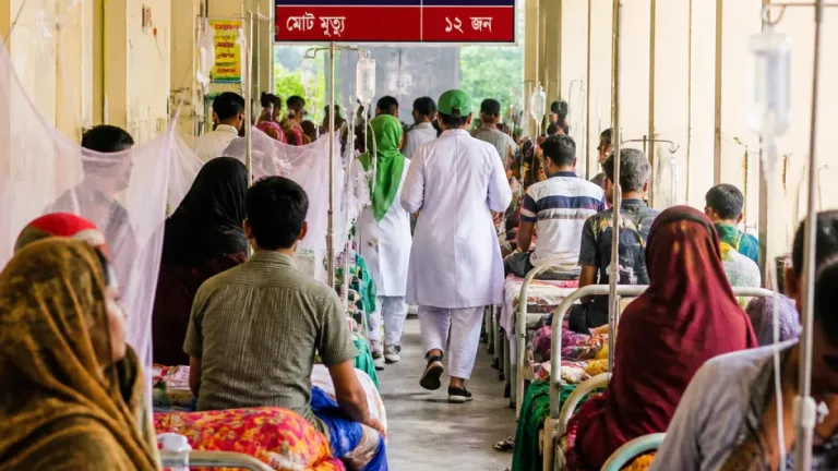 ময়মনসিংহ মেডিকেলে ডেঙ্গুতে আরও দুই মৃত্যু, হাসপাতালে ভর্তি ৪৩ নতুন রোগী