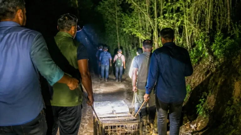 নেত্রকোণা: দুর্গাপুরে লোকালয় থেকে উদ্ধার করে গারো পাহাড়ে অবমুক্ত করা হলো লজ্জাবতী বানর