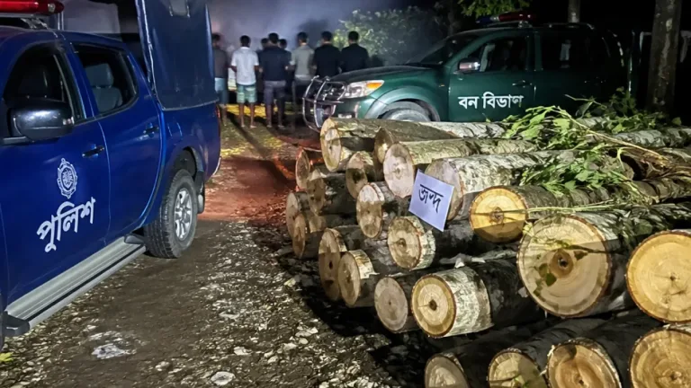 পঞ্চগড়ে রাতের আধারে সরকারি গাছ কাটা: তাঁতী দল নেতার নামে অভিযোগ, গাছ জব্দ
