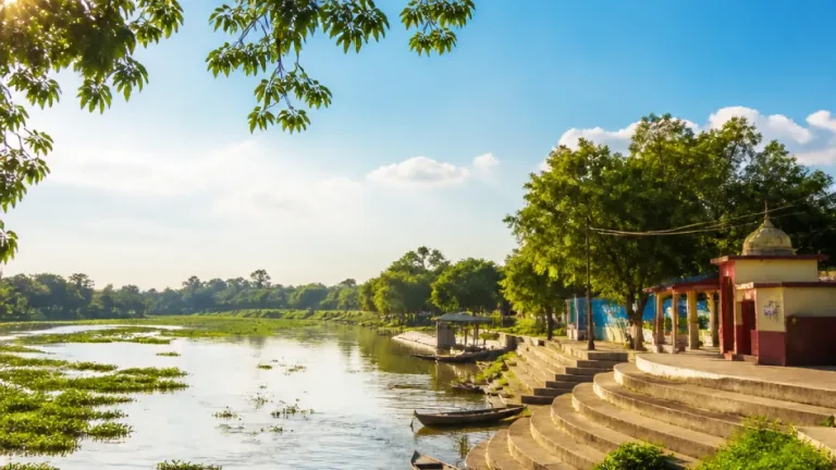 সুন্দরগঞ্জে লোকালয়ে ঢুকে শিয়ালের তাণ্ডব: নারী-শিশুসহ ৯ আহত, ২ জন আশঙ্কাজনক