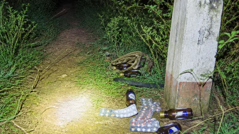 ঠাকুরগাঁও সীমান্তে ইয়াবা না—ট্যাপেন্টাডল ট্যাবলেট ও ফেনসিডিল উদ্ধার, ৪২ বিজিবি অভিযানে