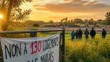 Hamme-Mille : des citoyens s'opposent à l’abattage d’arbres et au projet de 130 logements sur le marais