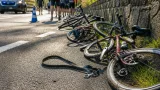 Jette : un chien provoque la chute de cyclistes en Haute-Loire, rappel à la vigilance pour les propriétaires