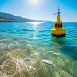 La Méditerranée entre dans un nouveau régime thermique : records de chaleur et impacts écologiques