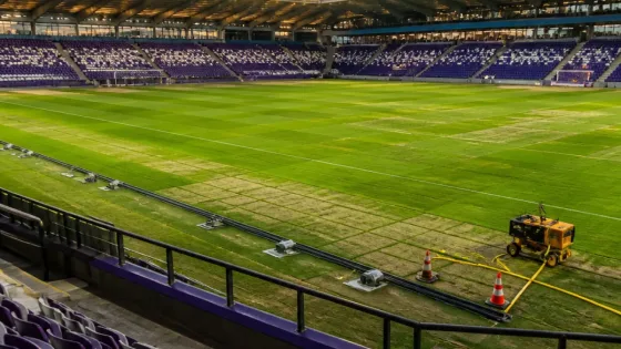 Asse — Stade Geoffroy-Guichard : une pelouse neuve, prometteuse mais perfectible
