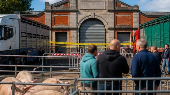 Fermeture de l'abattoir d'Ath : une centaine d'éleveurs plongés dans l'incertitude