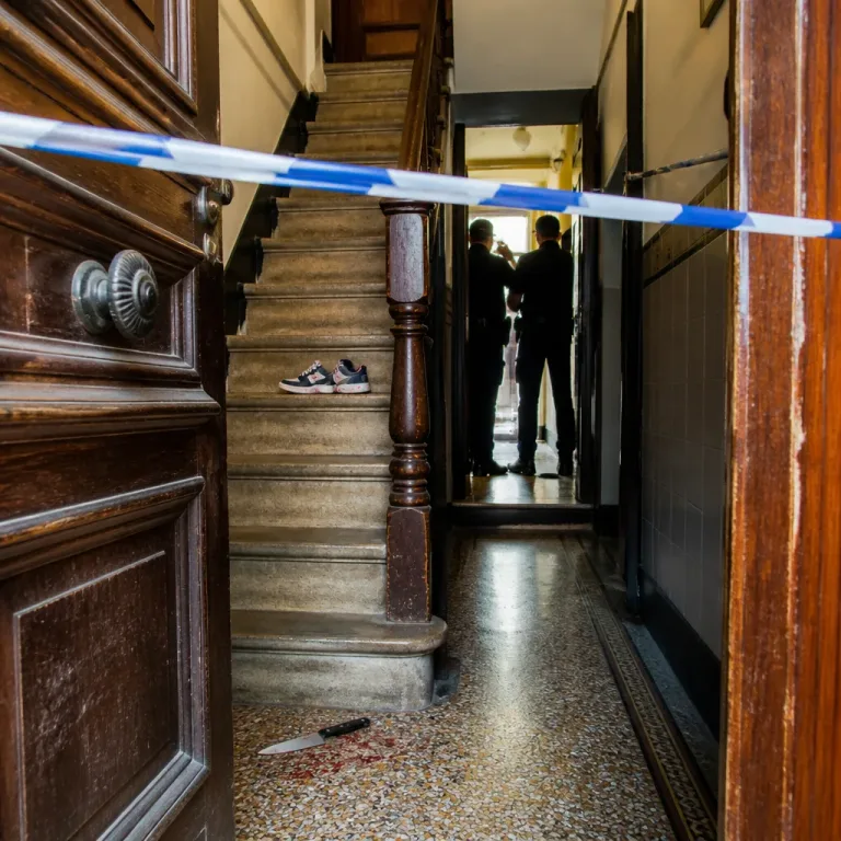 Un garçon de 7 ans met fin à la vie de sa tante à Saint‑Maur‑des‑Fossés : l'enquête pour meurtre ouverte