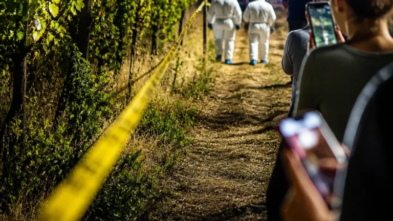 Saint-Gilles : découverte d’un corps calciné dans le Gard, la rumeur sur une influenceuse se propage