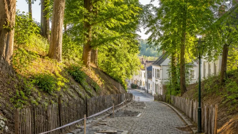 Uccle : la rue historique du Château d’Eau va être restaurée pour préserver son pavage et sa végétation