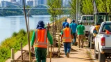 Cuiabá inicia arborização na Avenida Beira Rio com plantio de 200 mudas