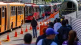 Curitiba: novo episódio de queda de galho na Praça Osório reacende alerta sobre segurança de pedestres