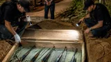 Polícia identifica suspeito que diz ter matado 80 pessoas e apreende armas usadas contra Lampião