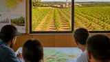 Setor florestal defende crédito e desburocratização para ampliar florestas plantadas em MT