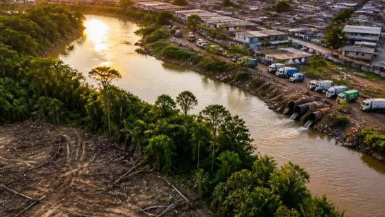 Acre aparece entre os últimos no Ranking de Sustentabilidade Ambiental 2026 do CLP