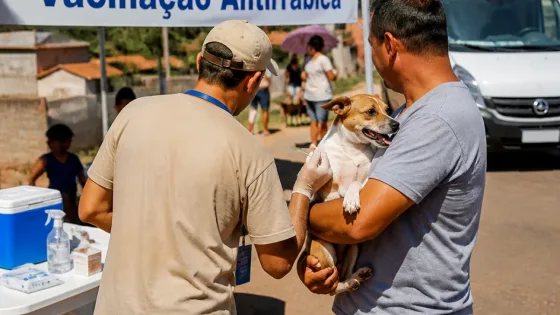 Campo Grande realiza mutirão de vacinação antirrábica neste fim de semana