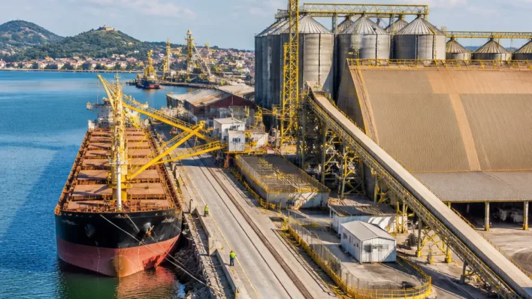 Antaq libera porto privativo da Bunge em São Francisco do Sul; terminal terá capacidade de 6 milhões t/ano