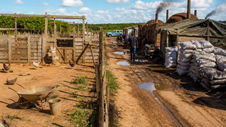 Boa Vista: seis trabalhadores são resgatados de condições análogas à escravidão em fiscalização