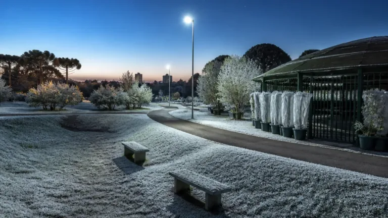 Curitiba enfrenta madrugada de frio intenso e risco de geada em áreas abertas