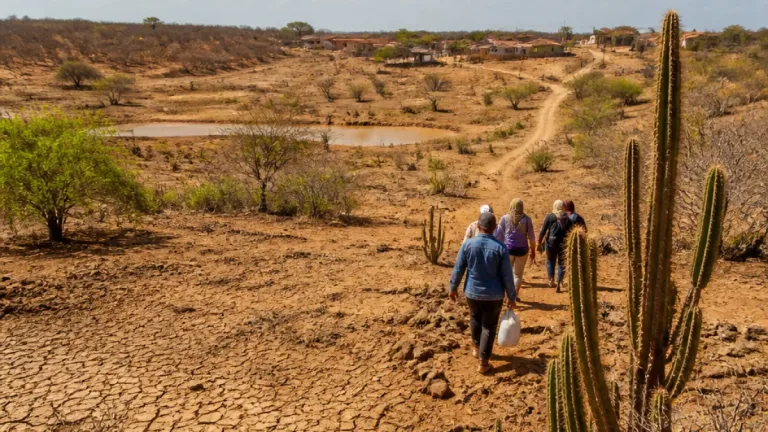 Desertificação avança e coloca áreas do Semiárido alagoano sob risco de colapso ambiental