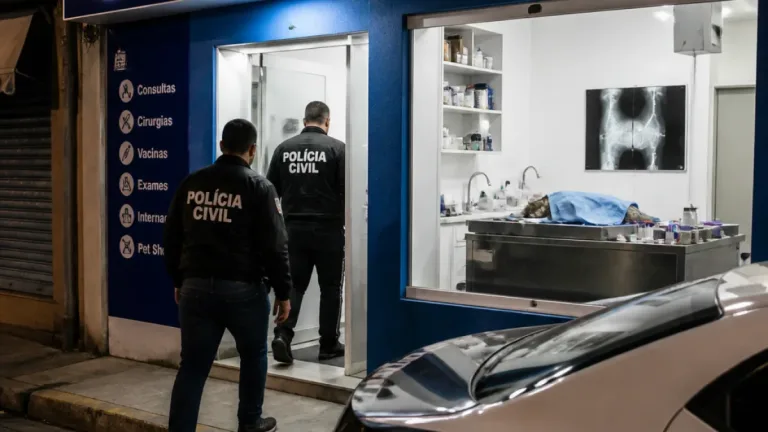 Duque de Caxias: polícia prende homem que se passava por veterinário durante cirurgia em gato