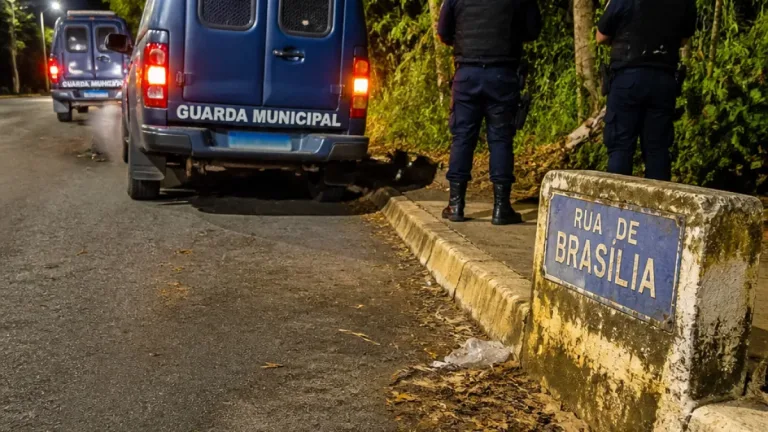 Guarda Municipal apreende oito pinos em bairro Duque de Caxias de Betim durante abordagem