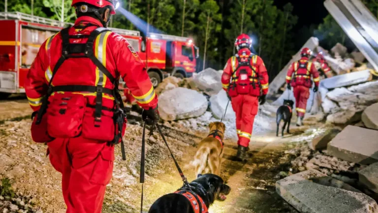 Joinville sedia certificação de cães de busca e reforça preparo de equipes voluntárias