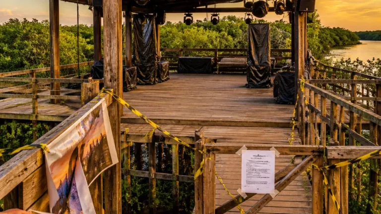 Justiça barra evento em deck sobre manguezal em São João de Pirabas por ação do MPPA