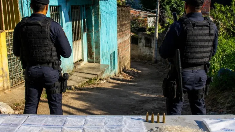 Operação da PM apreende drogas e munições na Zona Oeste do Recife