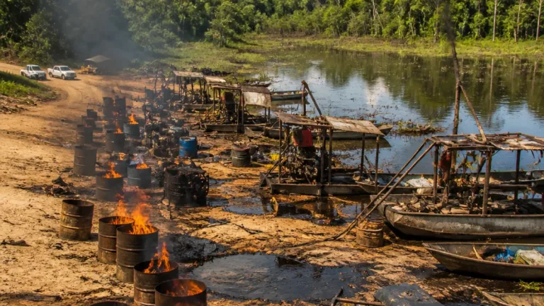 PF e ICMBio destroem 11 dragas e incineram 48 mil litros de combustível na Juami-Japurá