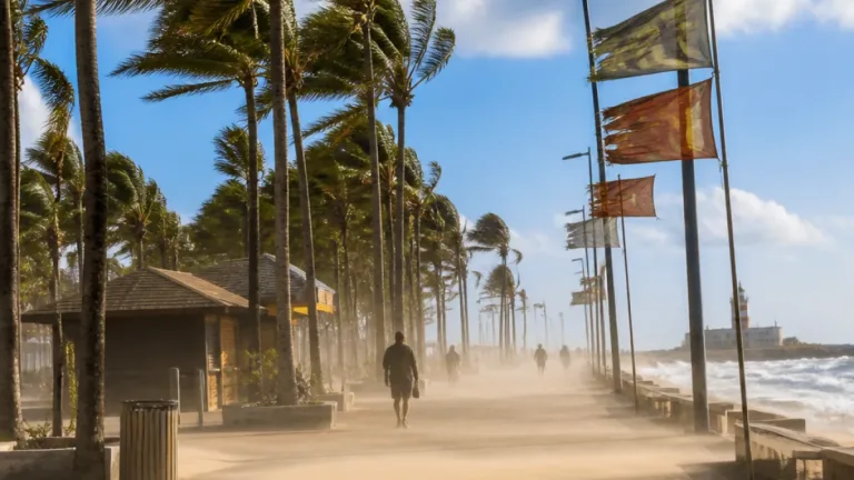 Salvador registra rajadas de até 43,2 km/h em meio a alerta de vendaval na Bahia