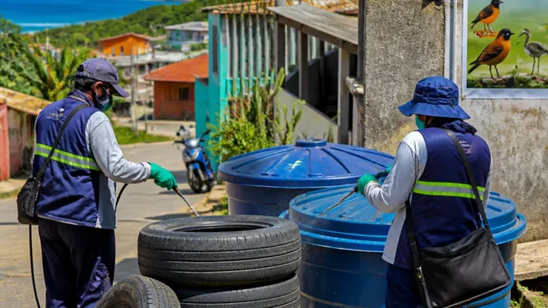 Santa Catarina registra duas confirmações de Febre do Nilo Ocidental; uma paciente morreu em Imbituba