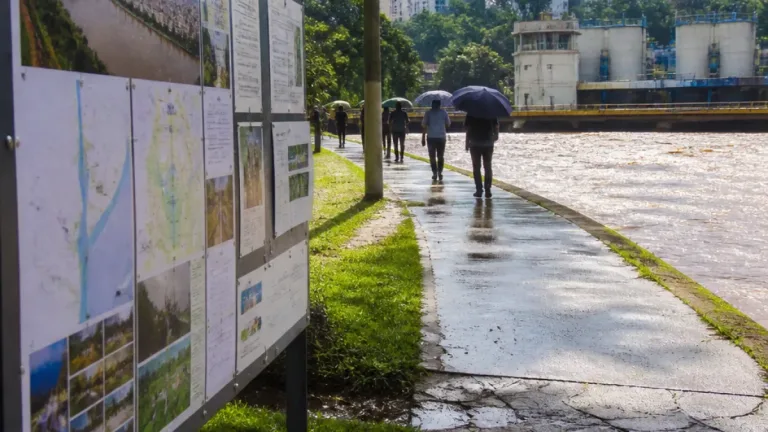 São Paulo: propostas ambientais dos candidatos ao governo ganham destaque em ano de eventos climáticos