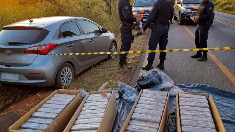 Serra: polícia apreende cerca de 150 kg de drogas em estrada entre Nova Olímpia e Tangará da Serra