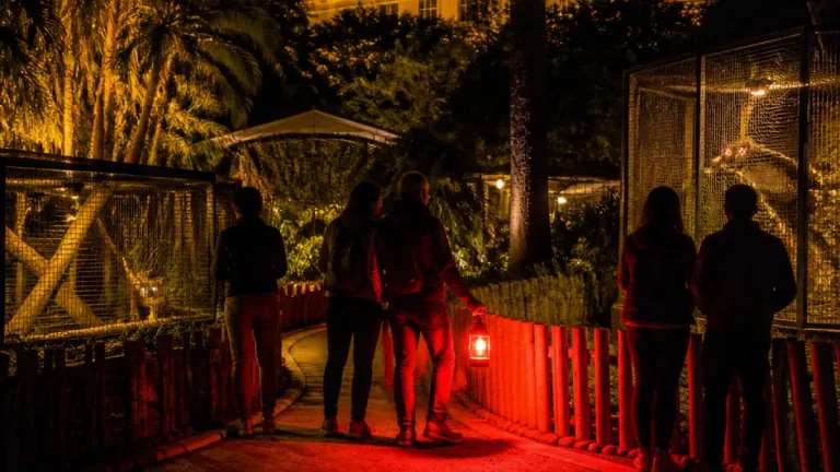 Sorocaba abre inscrições para visitas monitoradas noturnas no Zoológico Quinzinho de Barros