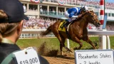 Airdrie readers: Manuka Honey shocks market with early Kentucky Oaks points run